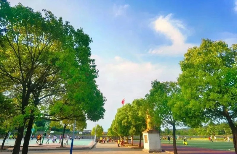 户外运动场_01